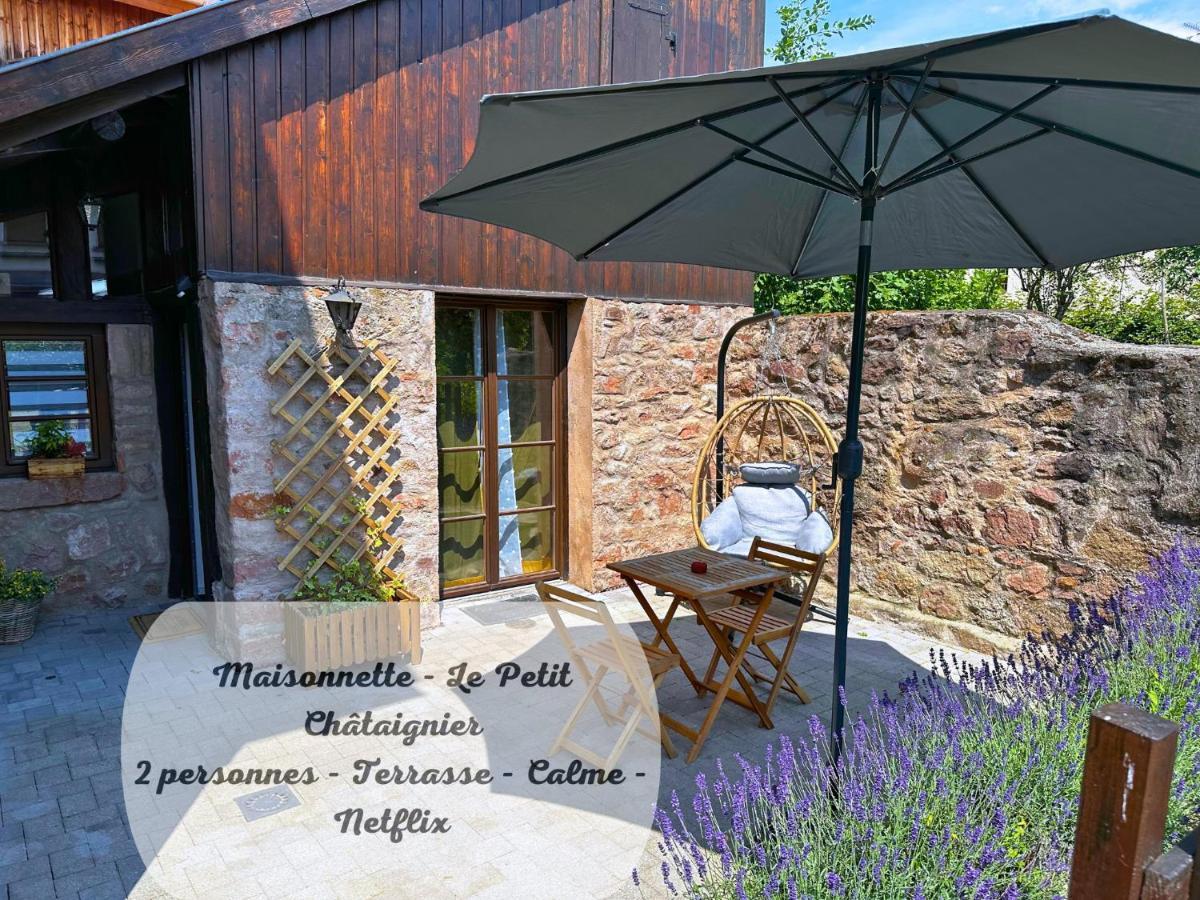 Le Petit Chataignier - Cozy Immo Châtenois 外观 照片